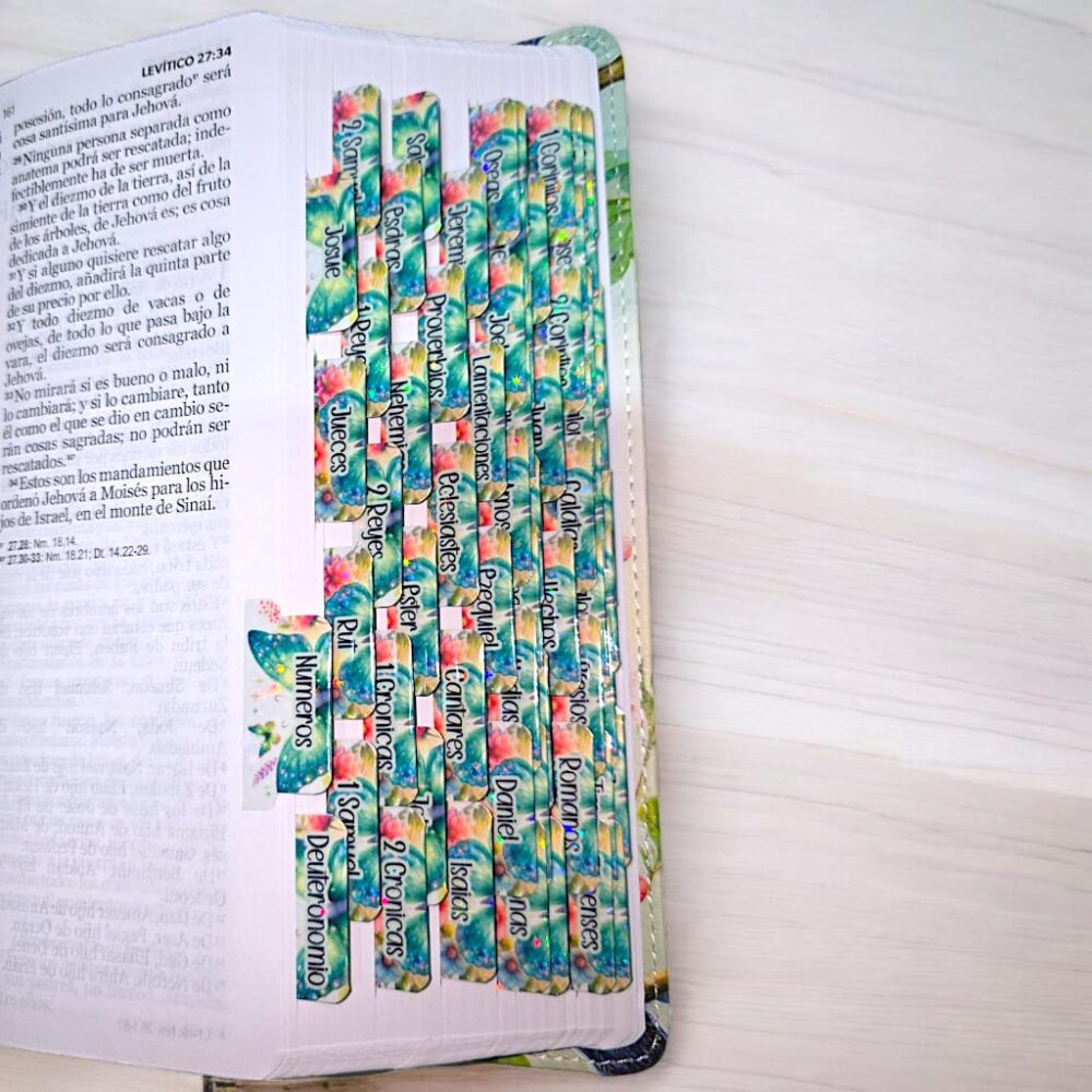 deniashop.com-Biblia-con-letra-grande-de-pájaro RVR 1960
