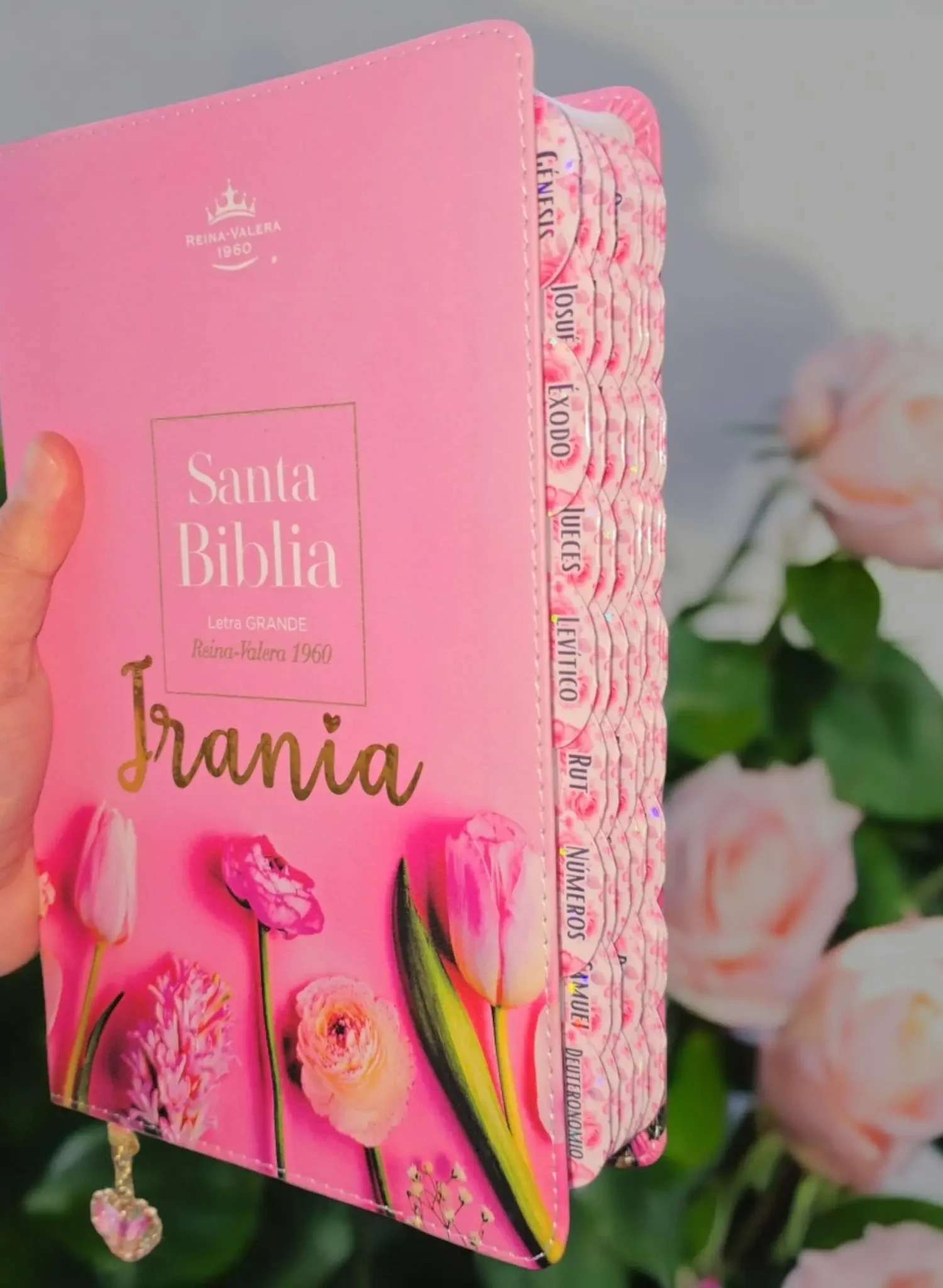 deniashop-biblia