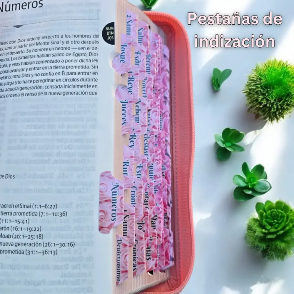 deniashop.com-biblia-rosa-con-versiculo-adelante-y-atras-rvr-1960
