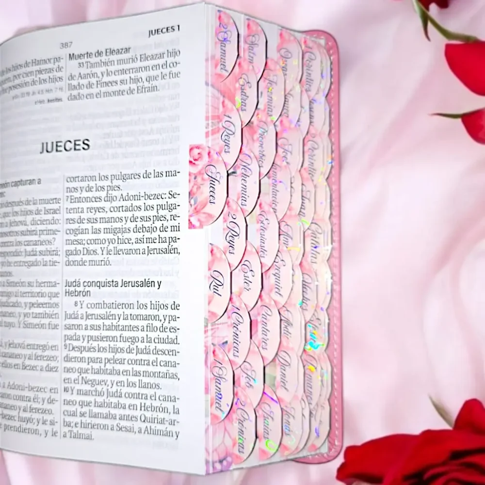 deniashop-biblia