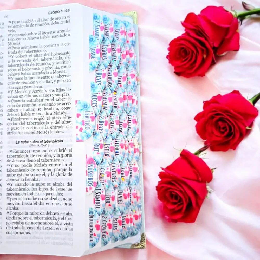deniashop.com-biblia13