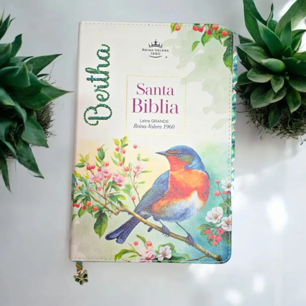 deniashop.com-biblia