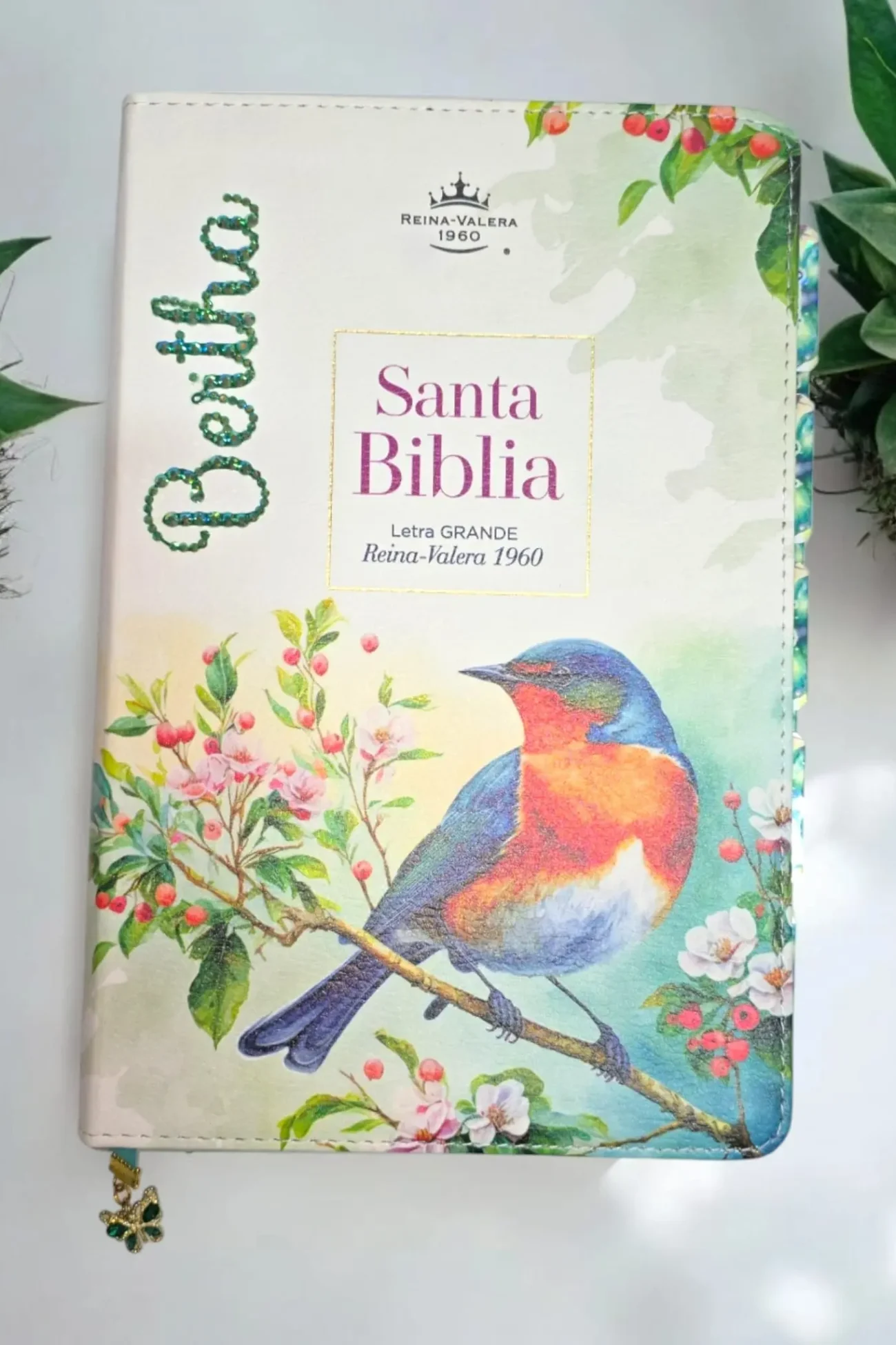 deniashop.com-biblia