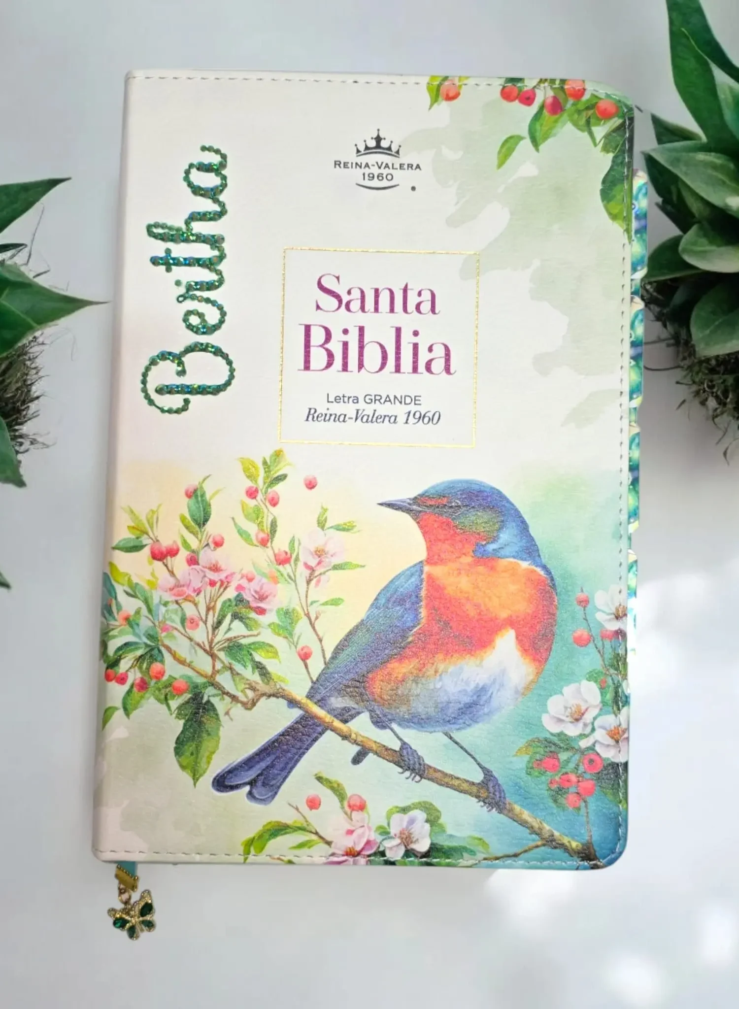 deniashop.com-biblia