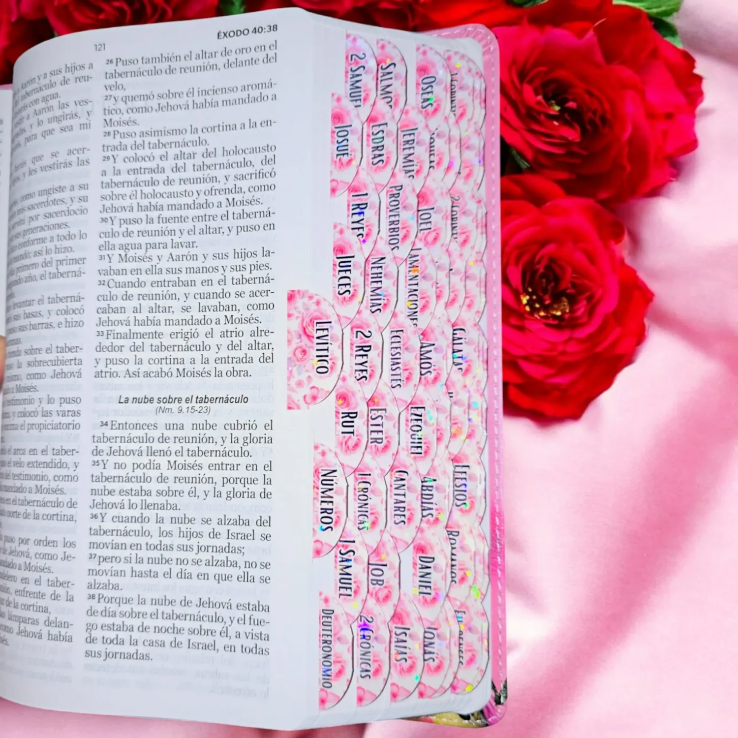 deniashop-biblia
