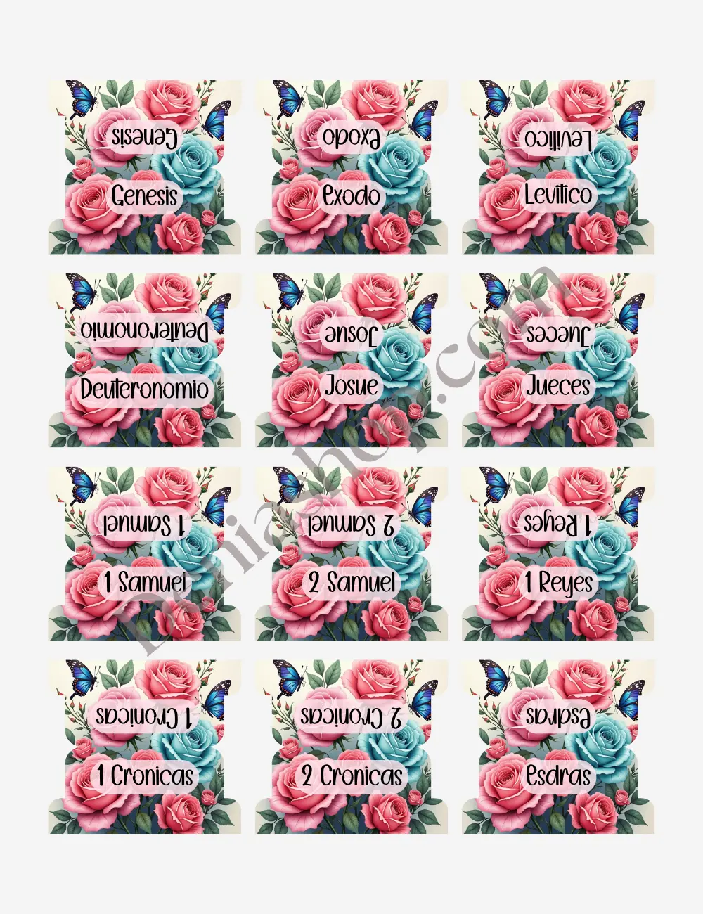Indices Luz entre Rosas para Biblia English / Español