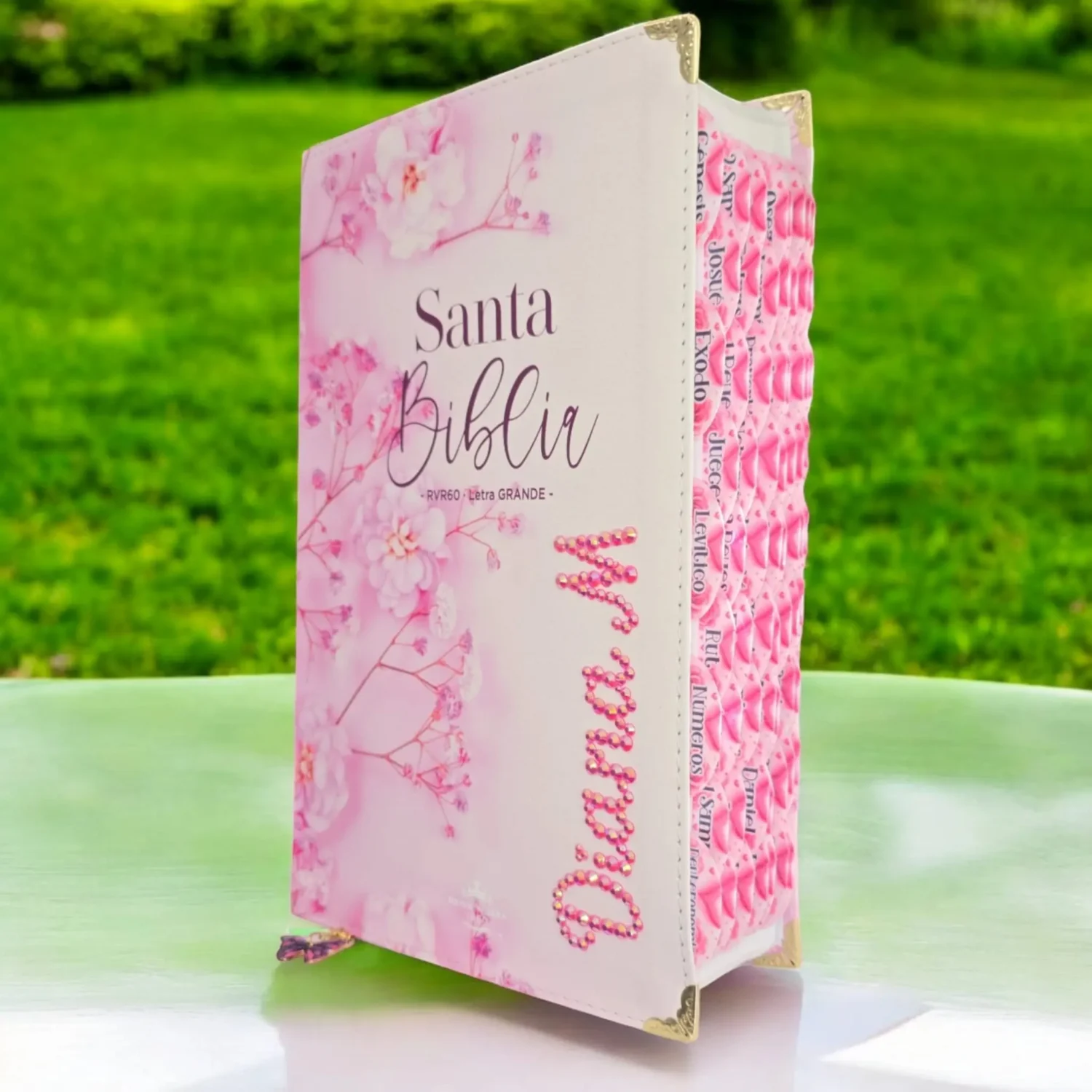 deniashop.com-rvr-1960-personalizado-completo