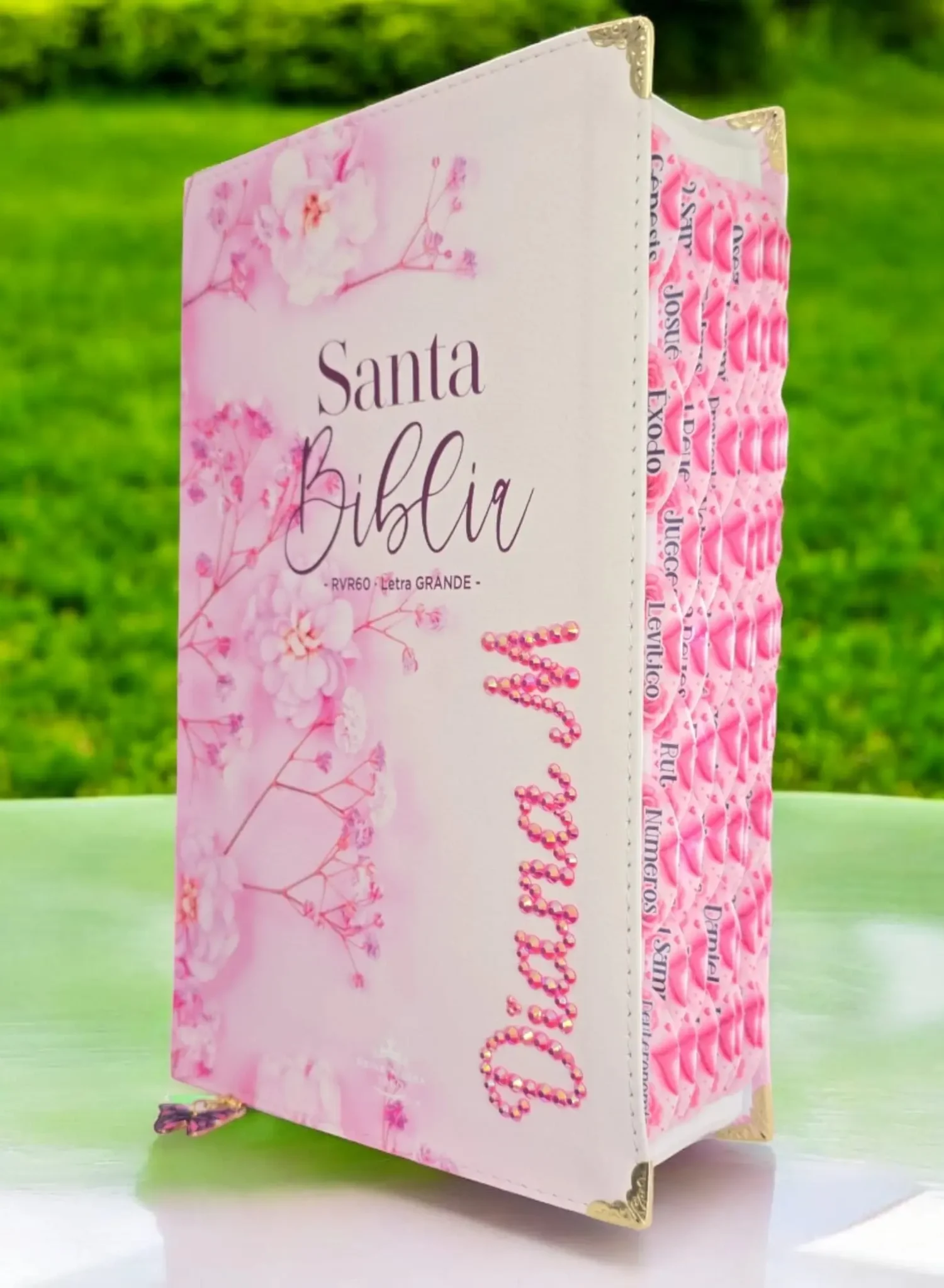 deniashop.com-rvr-1960-personalizado-completo