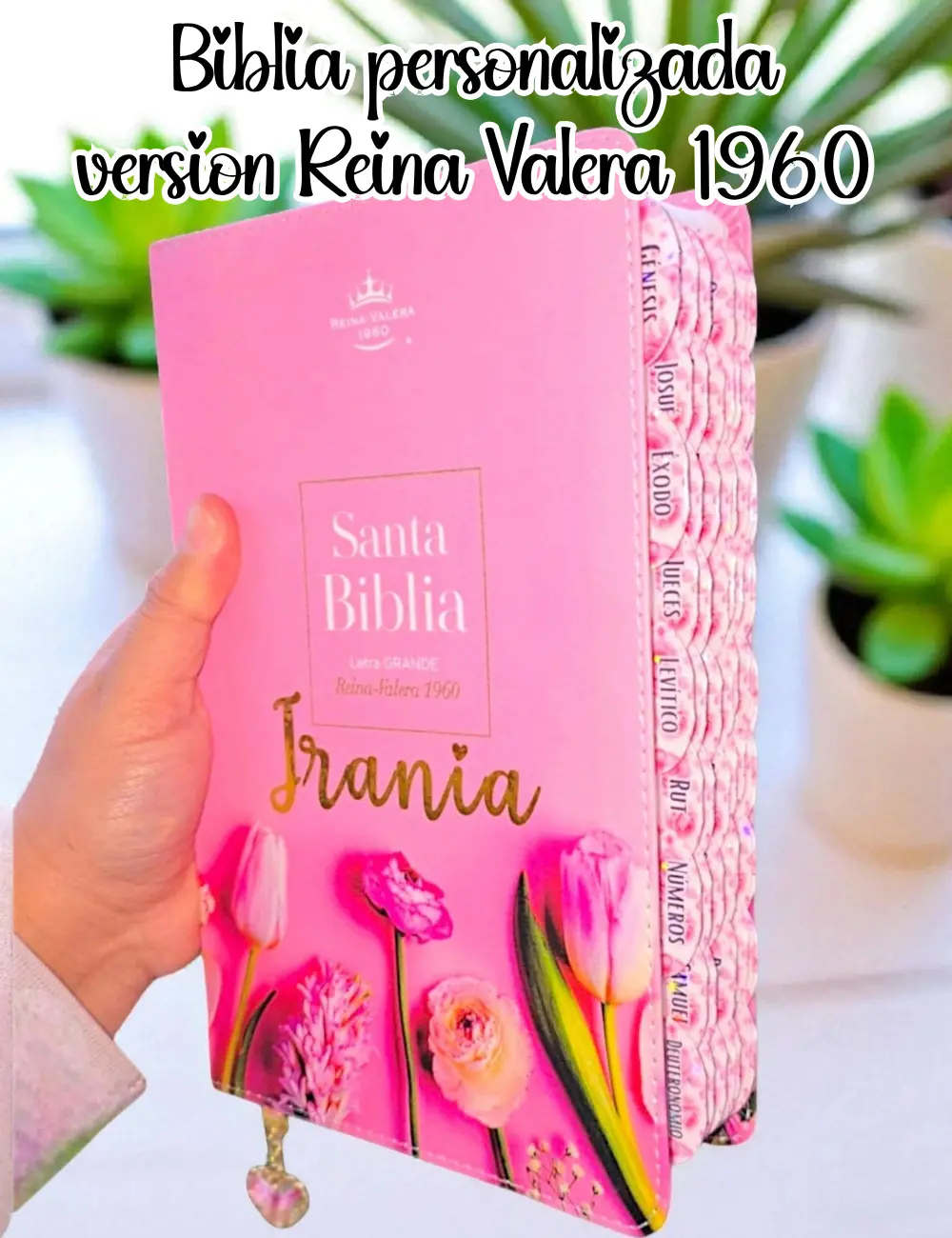Biblia Personalizada Rosada Tulipán - Letra Grande de 12 Puntos Reina Valera 1960 Tamaño Manual