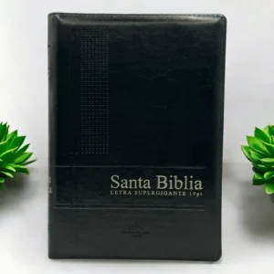 deniasho.com-Biblia-letra-super-gigante-19-puntos-rvr-1960