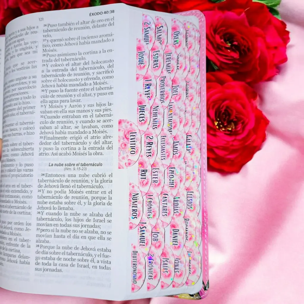 deniashop.com-biblia-de-tulipan-pestanas