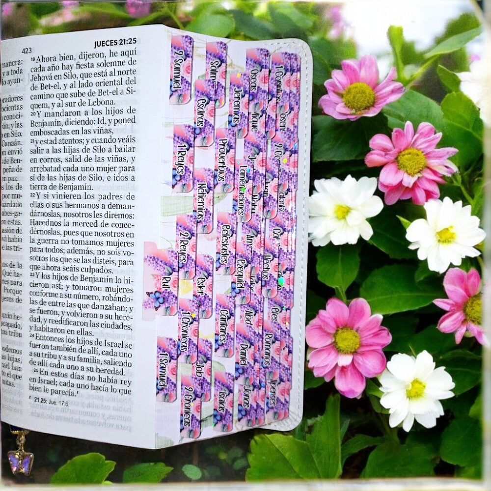 deniashop-biblia