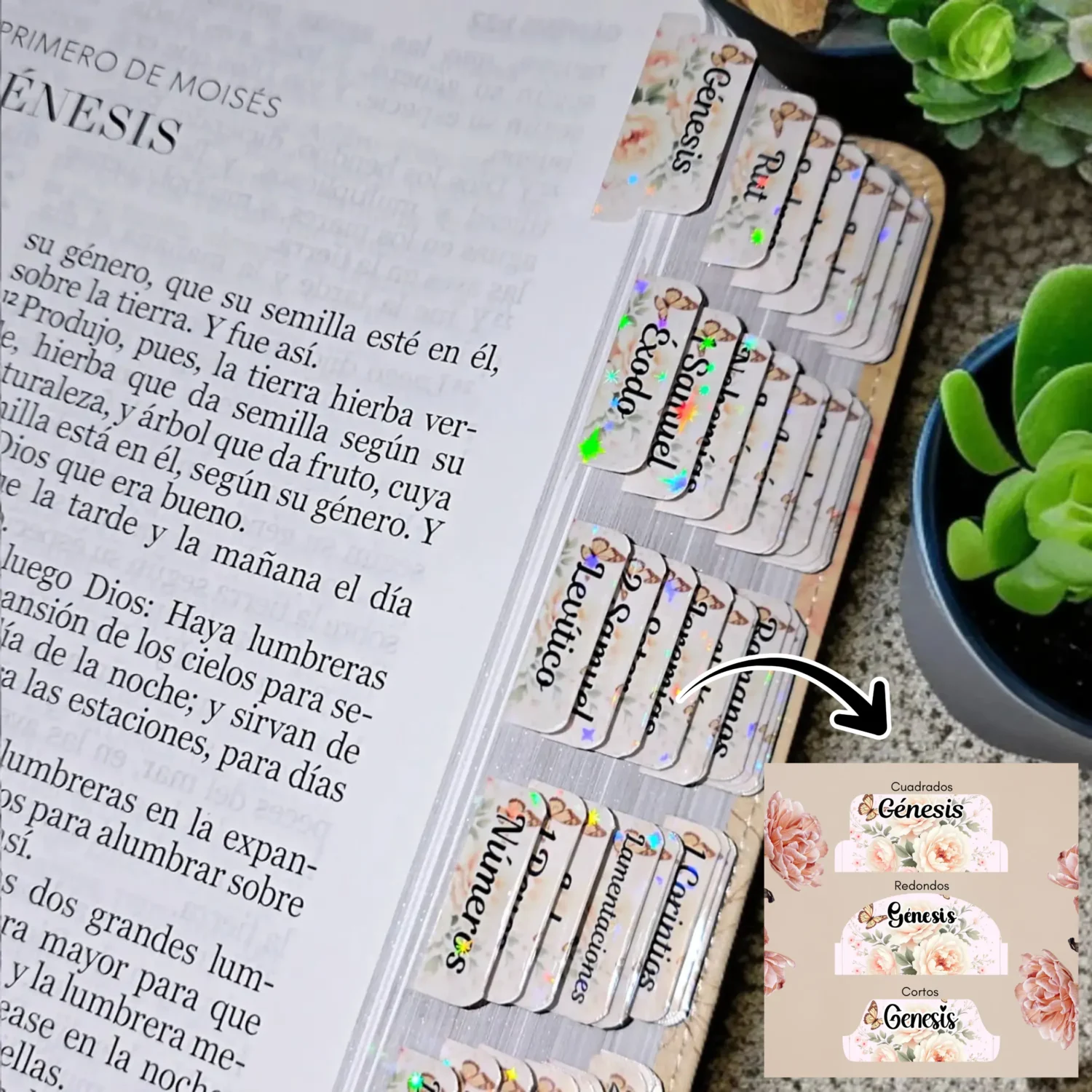 Indices Perfume de Gracia Para Biblia English / Español