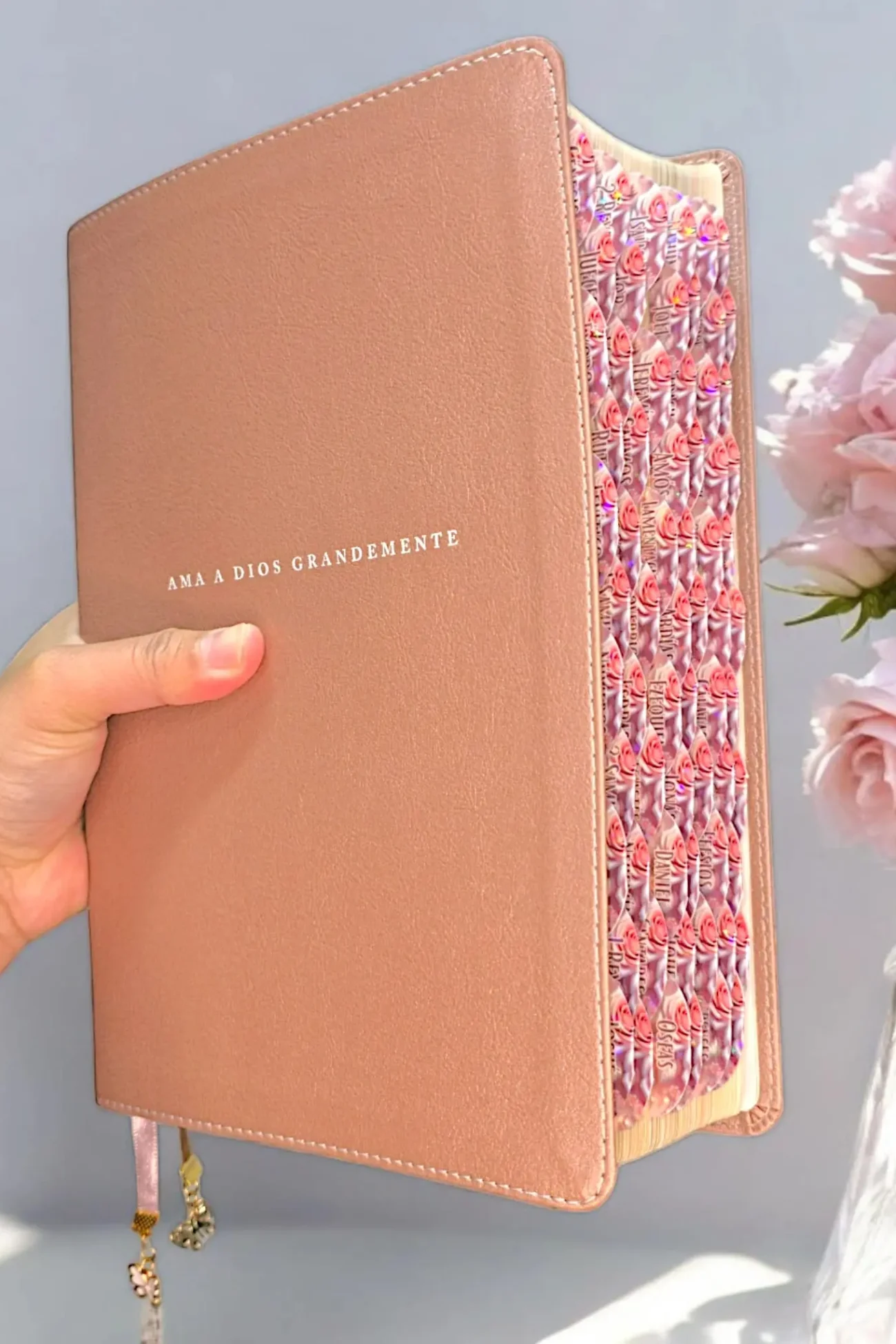 deniashop.com-biblia843