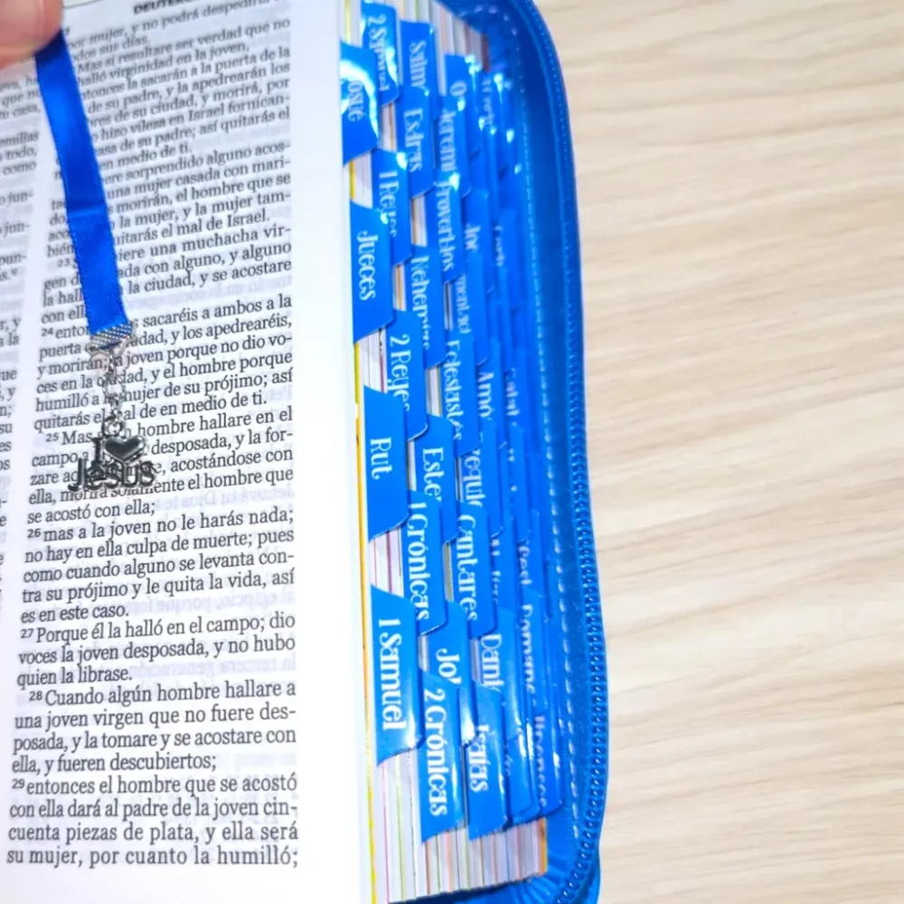 deniashop-biblia