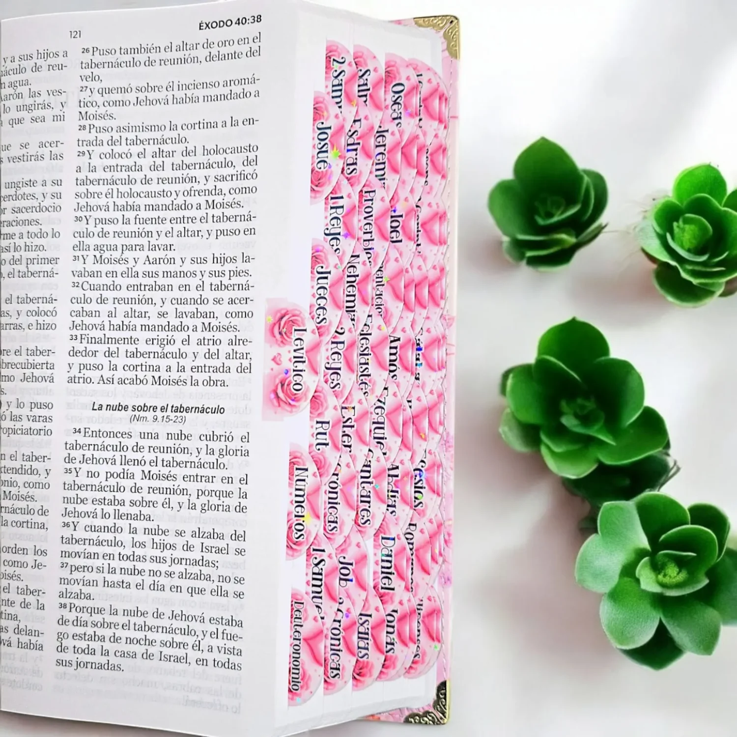 deniashop.com-rvr-1960-personalizado-completo