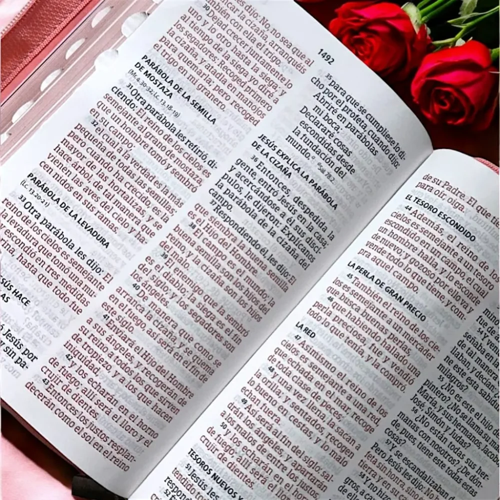 deniashop-biblia-con-versiculo-reina-valera-1960