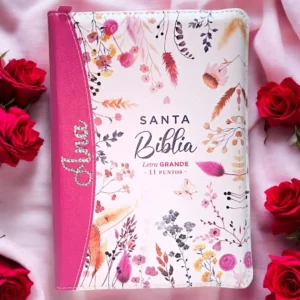 deniashop-biblia