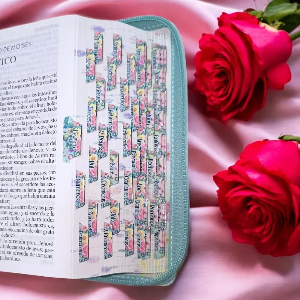 deniashop-biblia