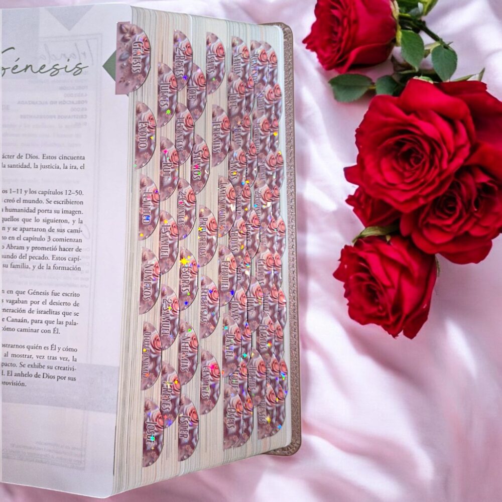 deniashop.com-biblia843
