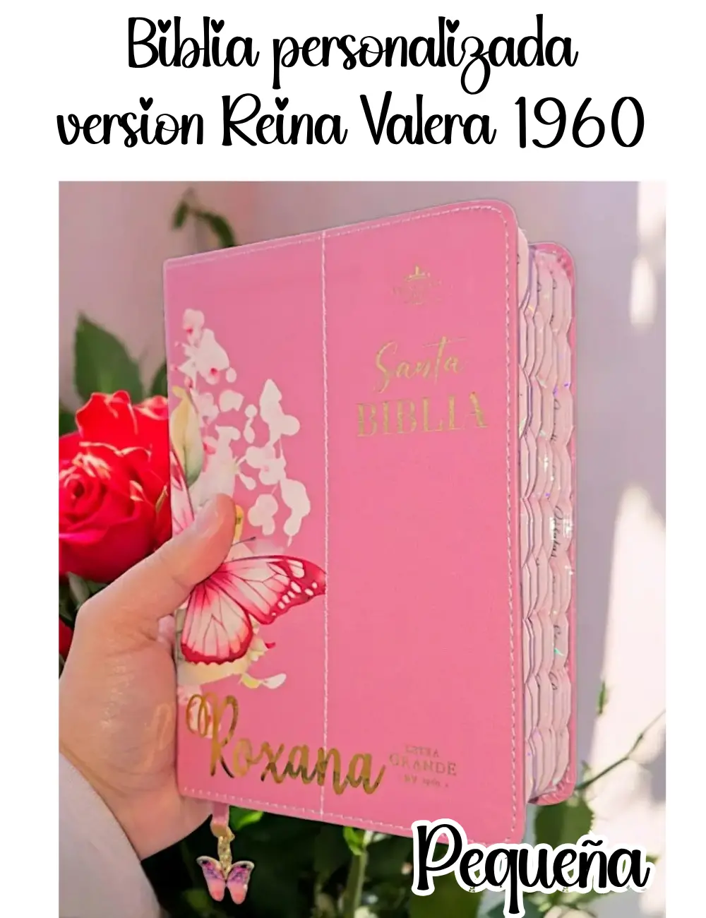 Biblia Rosada de Mariposa con Letra Grande de 12 Puntos Versión Reina Valera1960 Pequeña
