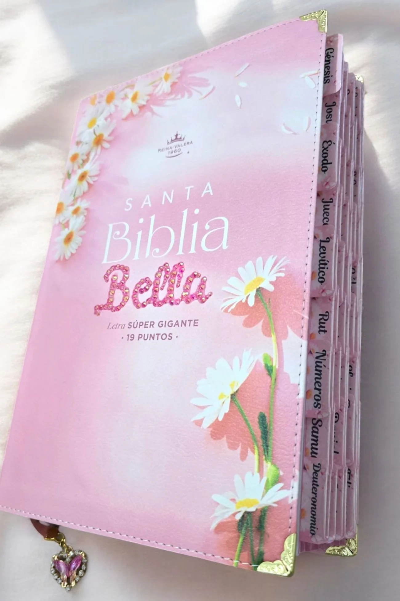 Biblia Rosada Letra Super Gigante 19 Puntos RVR1960 con Piedrería