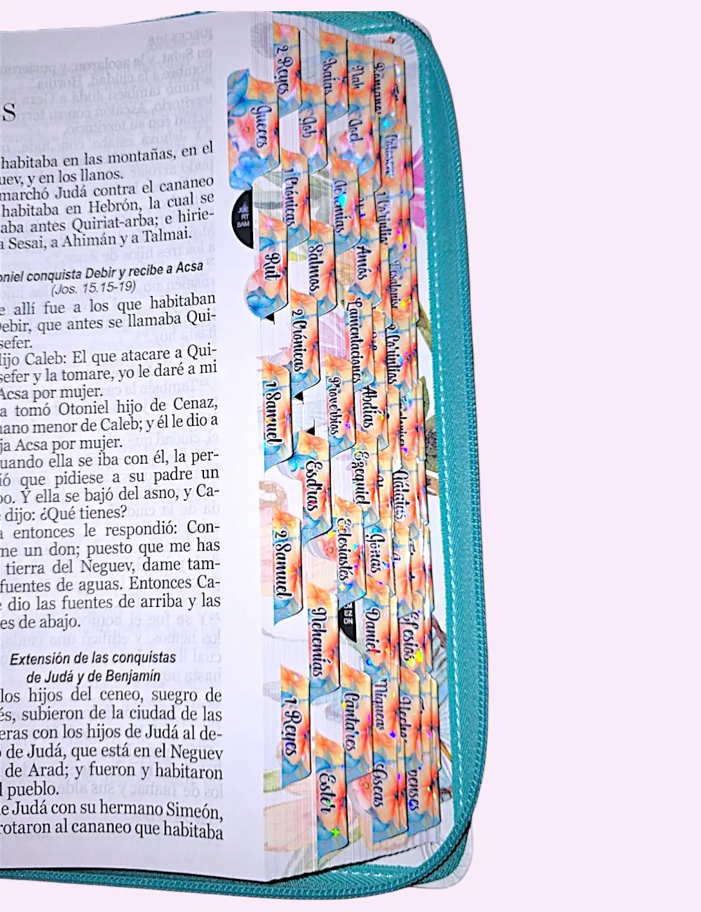 Biblia Personalizada Aqua de Mariposas - Letra Grande de 12 Puntos - Reina Valera 1960 - Tamaño Manual con Cierre- Español