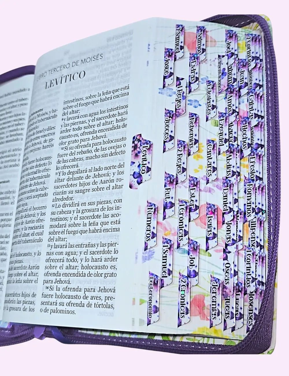 biblia-personalizada-morada-jardin-letra-grande-de-11-puntos-reina-valera-1960-tamano-compacta-con-cierre-espanol