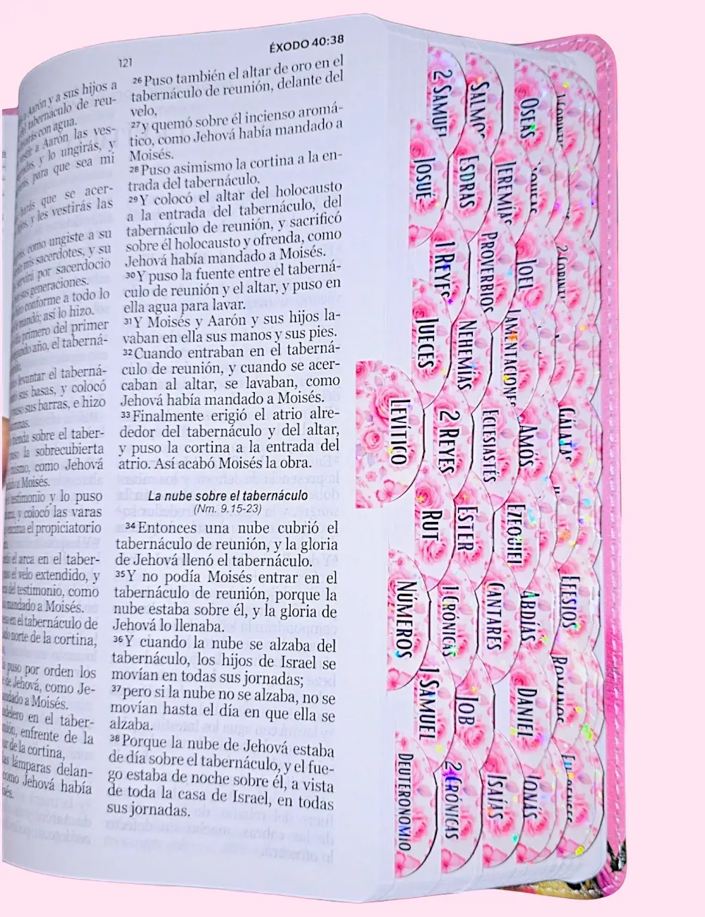deniashop.com-biblia-de-tulipan-pestanas