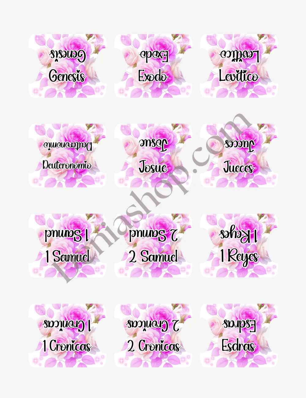 Indices Perfume de Gracia para Biblia English / Español