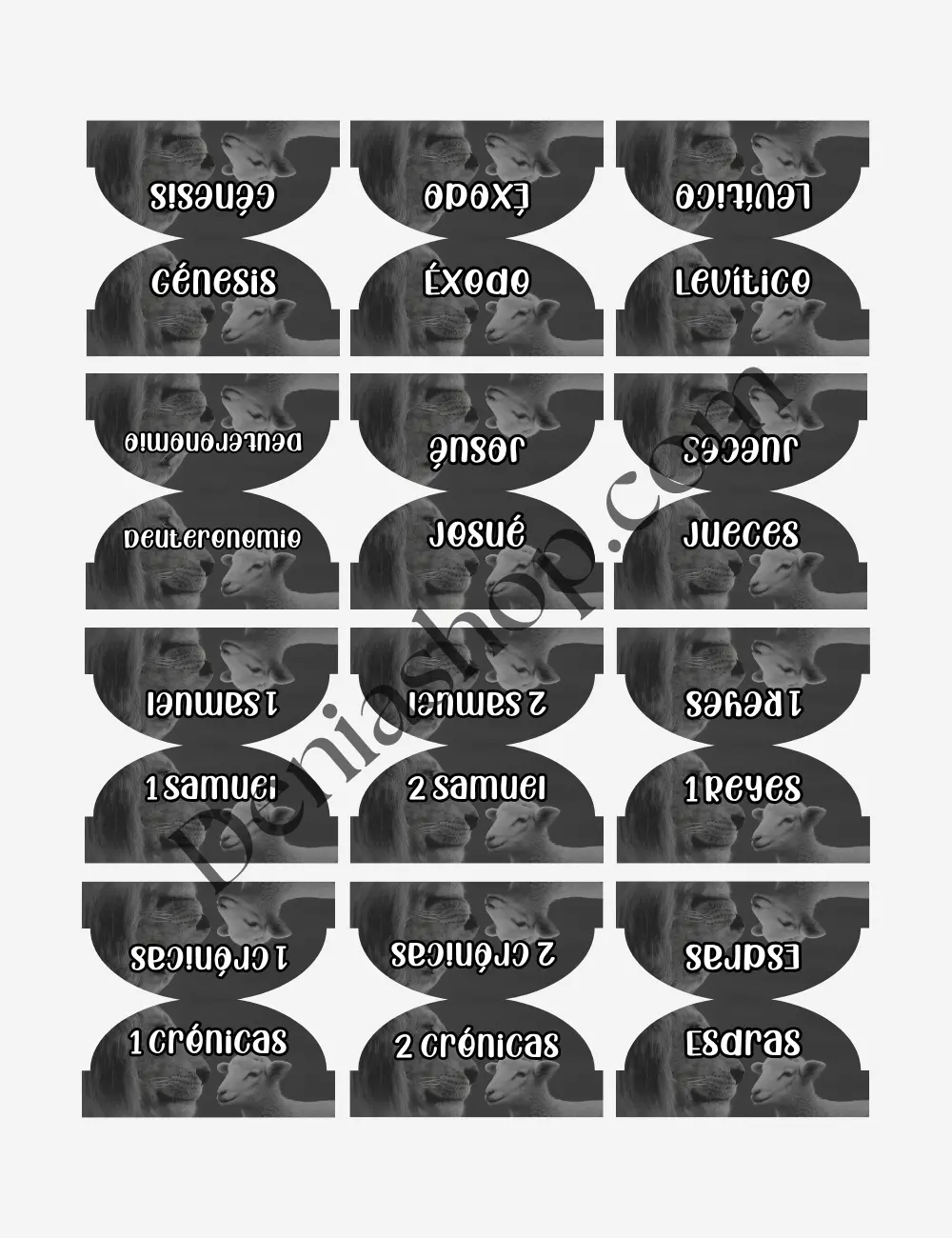 Indices Protector del Pacto para Biblia English / Español)