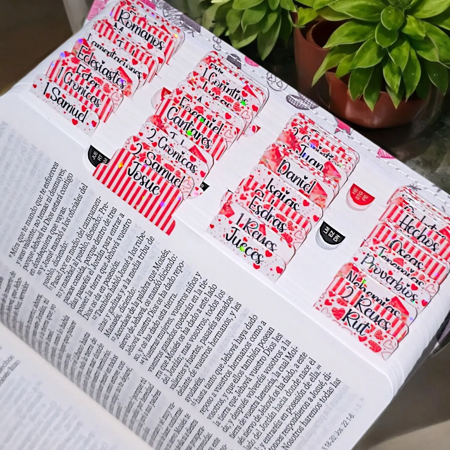 Indices Fuego Santo para Biblia English / Español