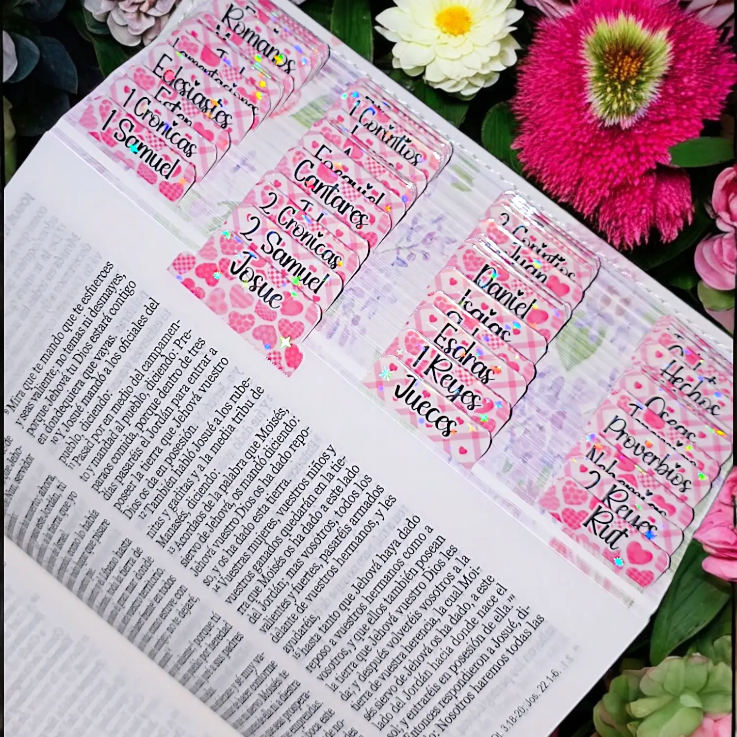 Indices  Amor para Biblia English / Español