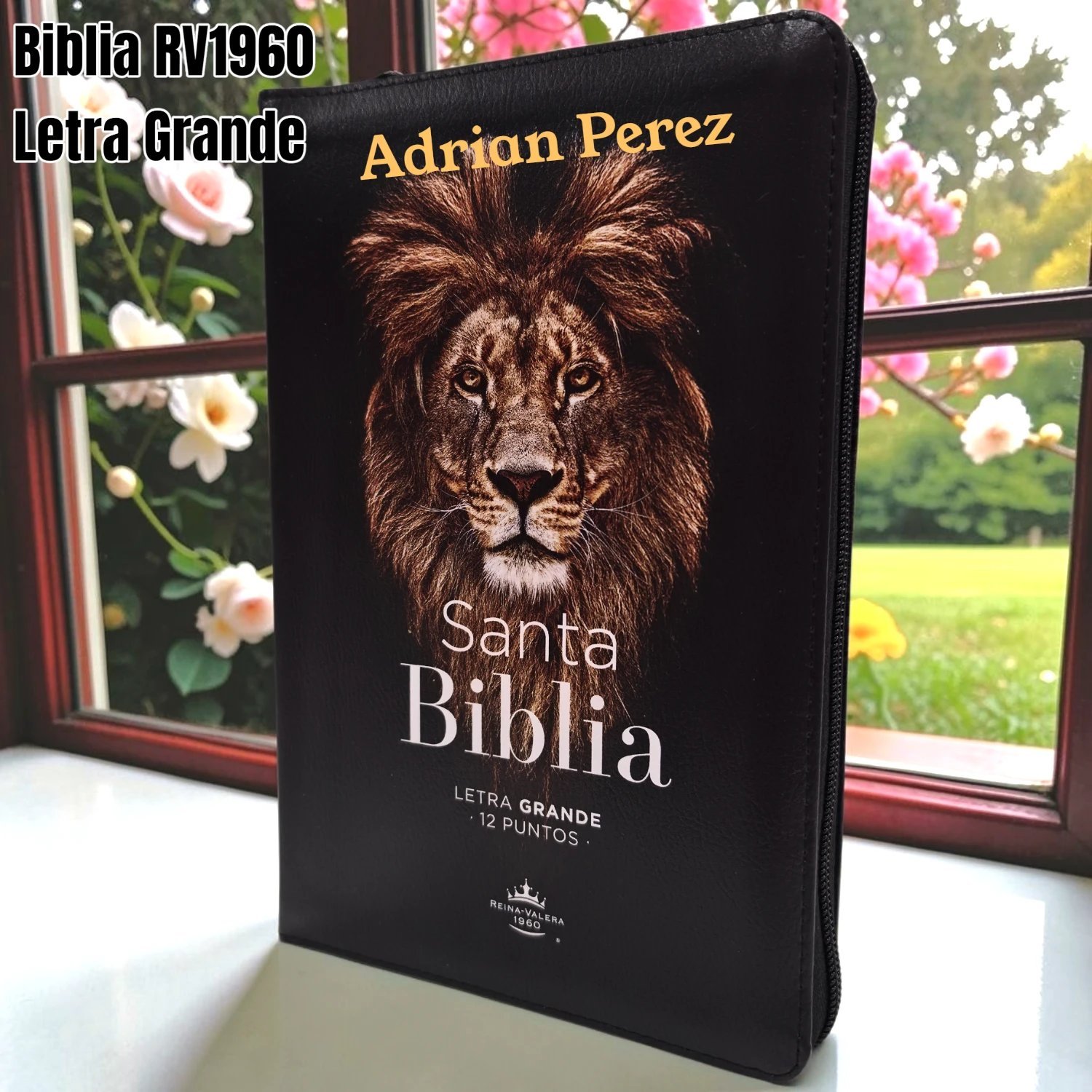 Biblia Personalizada de León - Letra Grande de 12 Puntos - Reina Valera 1960 - Tamaño Manual con Cierre - Español (copia)