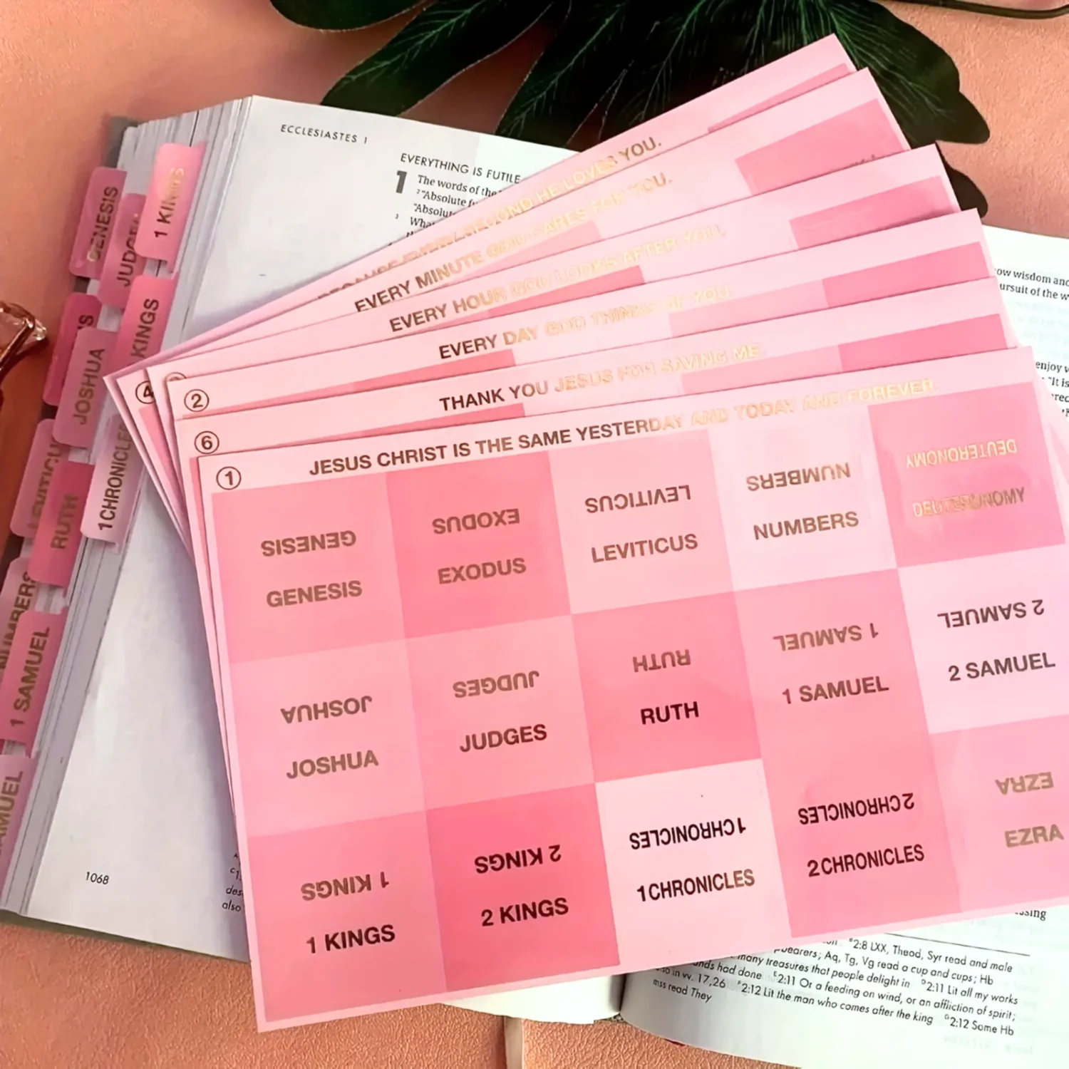 Bloom Pink Laminated Index Tabs for English Bible