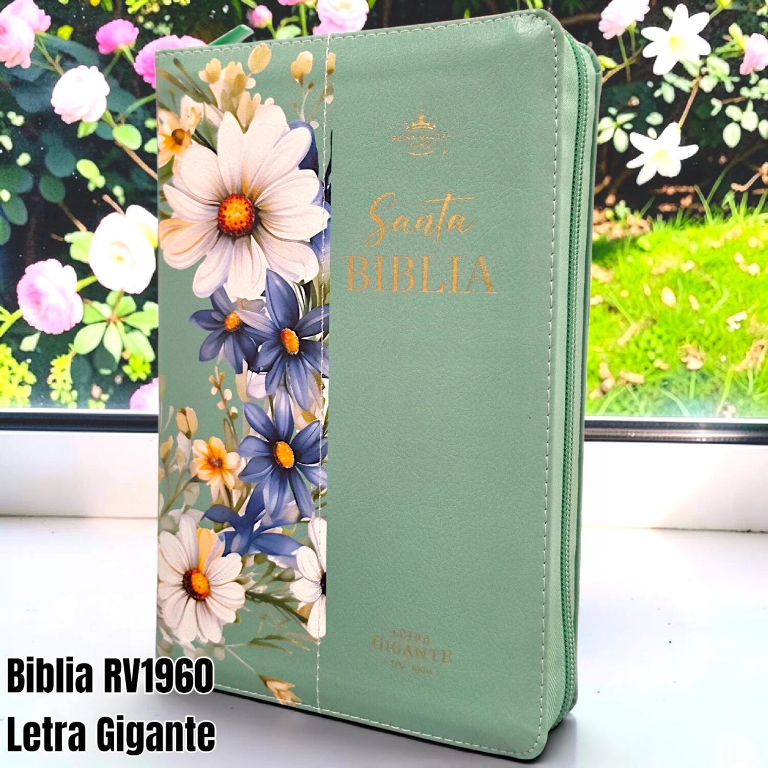 Biblia Personalizada Verde Salvia - Letra Gigante de 14 Puntos - Reina Valera 1960 - Tamaño Manual con Cierre - Español