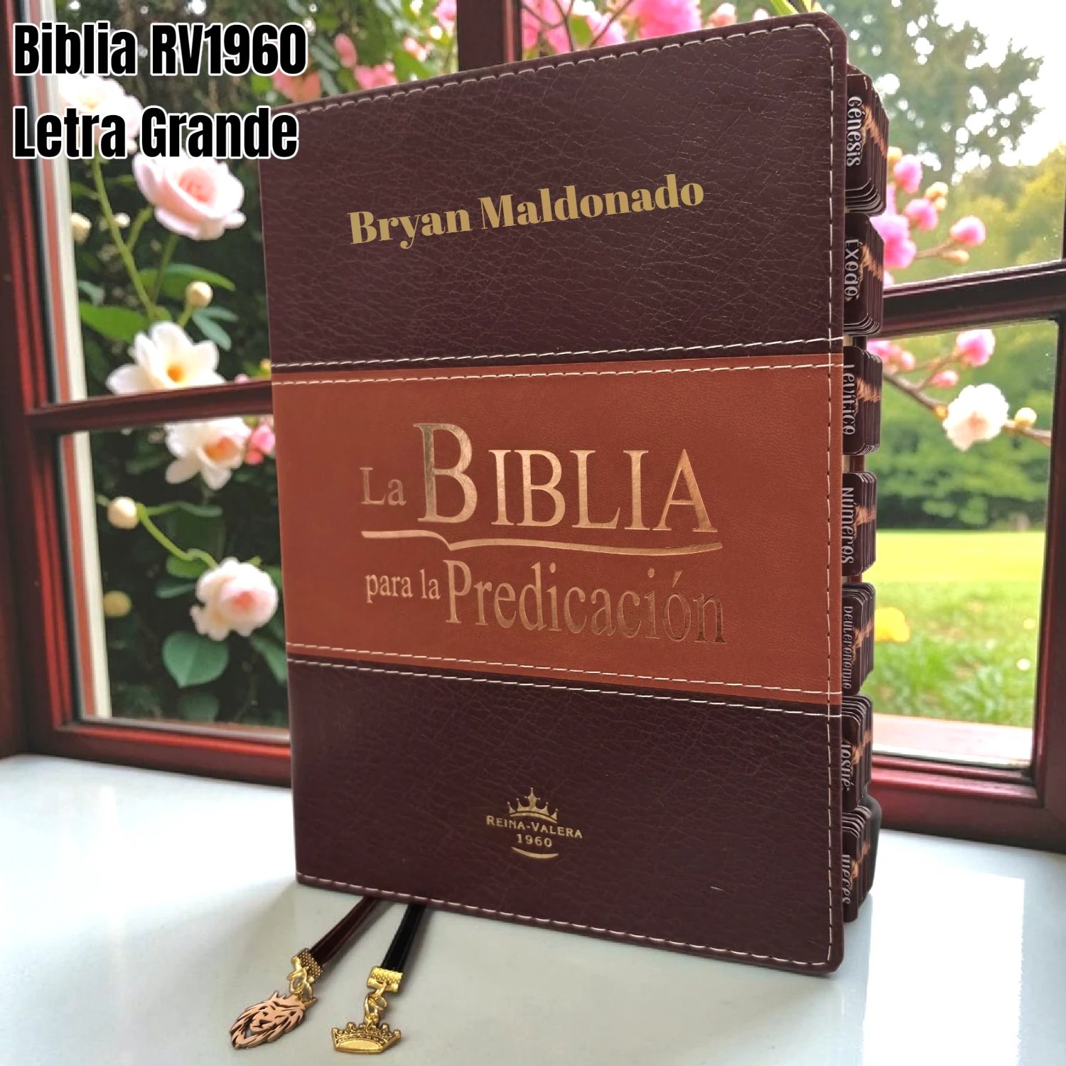 Biblia Personalizada Café Para La Predicación - Letra Pequeña de 10 Puntos - Reina Valera 1960 - Tapa Dura - Tamaño Grande - Español