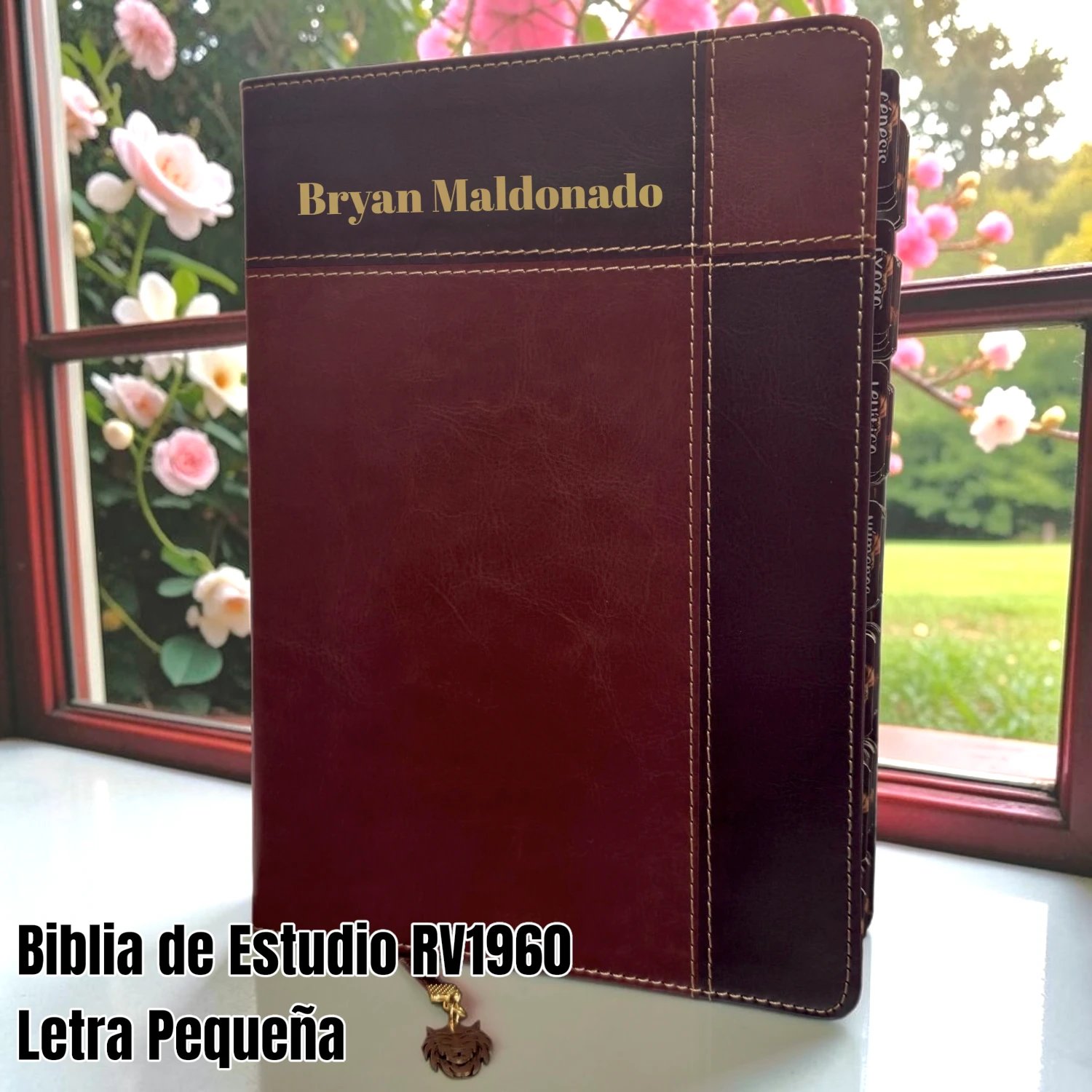 Biblia Personalizada Ryrie de Estudio Ampliado Café - Letra Pequeña de 8 Puntos - Reina Valera 1960 - Tamaño Manual - Español