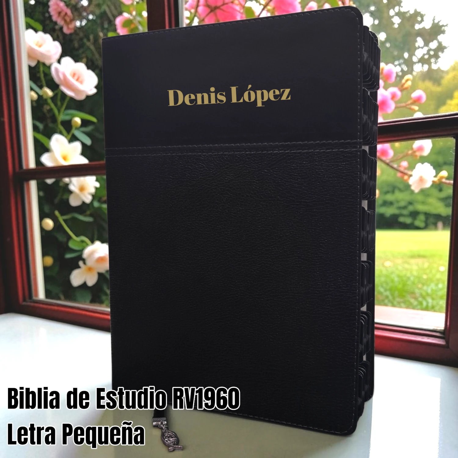 Biblia Personalizada Ryrie de Estudio Ampliado Negra - Letra Pequeña de 8 Puntos - Reina Valera 1960 - Tamaño Manual - Español
