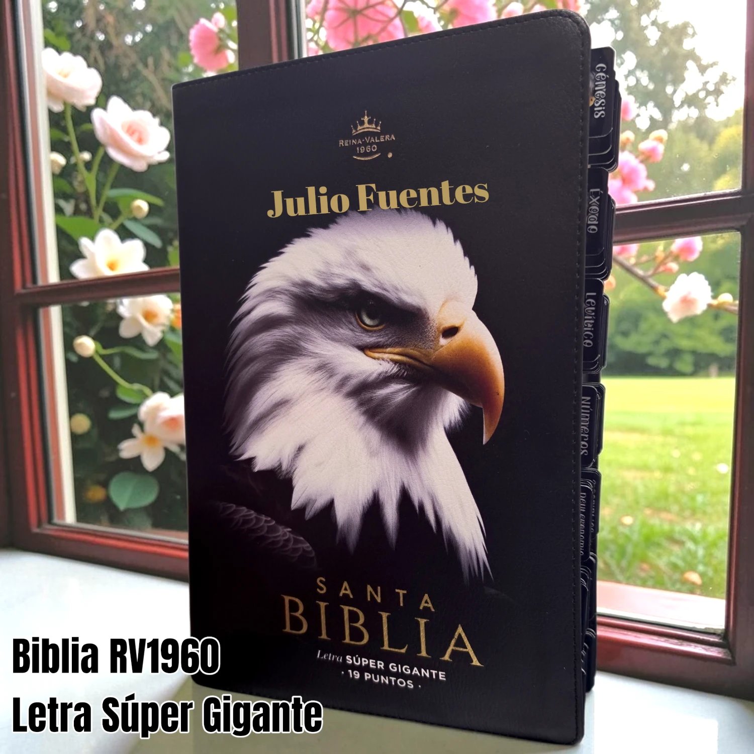 Biblia Personalizada de Águila - Letra Super Gigante de 19 Puntos - Reina Valera 1960 - Tamaño Manual - Español