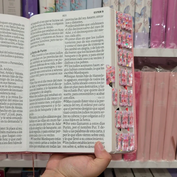 Biblia Personalizada Rosada – Letra Super Gigante 19 Puntos – Reina Valera 1960 – Tamaño Manual – Español
