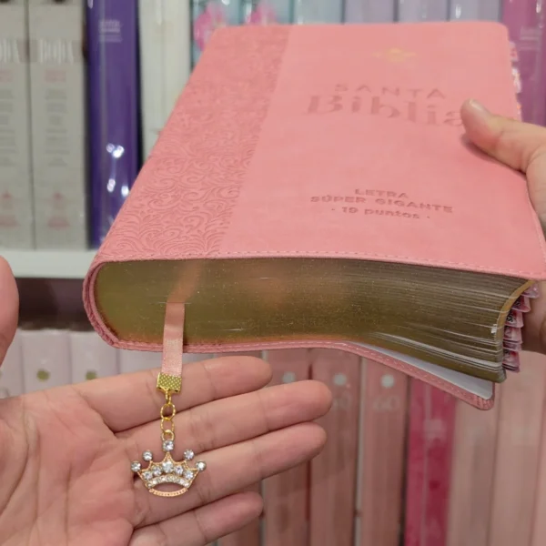 Biblia Personalizada Rosada – Letra Super Gigante 19 Puntos – Reina Valera 1960 – Tamaño Manual – Español