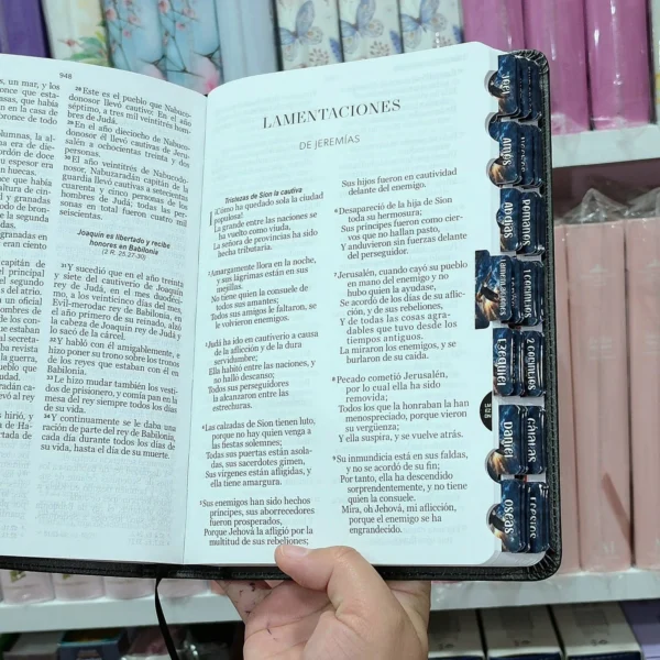 Biblia Personalizada de Águila - Letra Grande de 12 Puntos - Reina Valera 1960 - Tamaño  Regular - Español