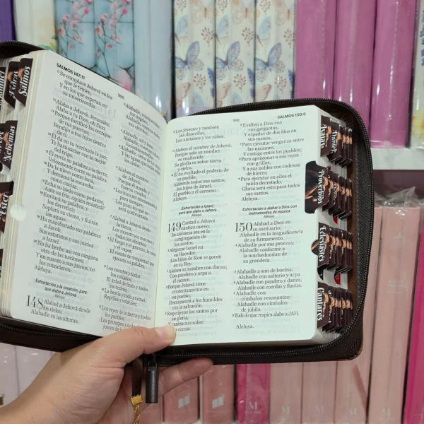 Biblia Personalizada Leon de Juda - Letra Grande de 11 Puntos - Reina Valera 1960 - Tamaño Compacta con Cierre - Español