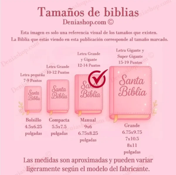 Biblia Personalizada Aqua de Mariposas - Letra Grande de 12 Puntos - Reina Valera 1960 - Tamaño Manual con Cierre - Español