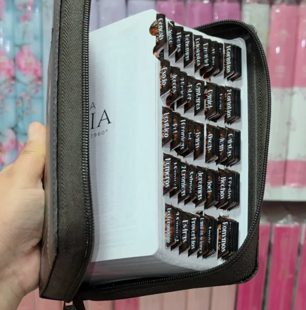Biblia Personalizada Café con Cara de León - Letra Grande de 12 Puntos - Reina Valera 1960 - Tamaño Compacta con Cierre - Español