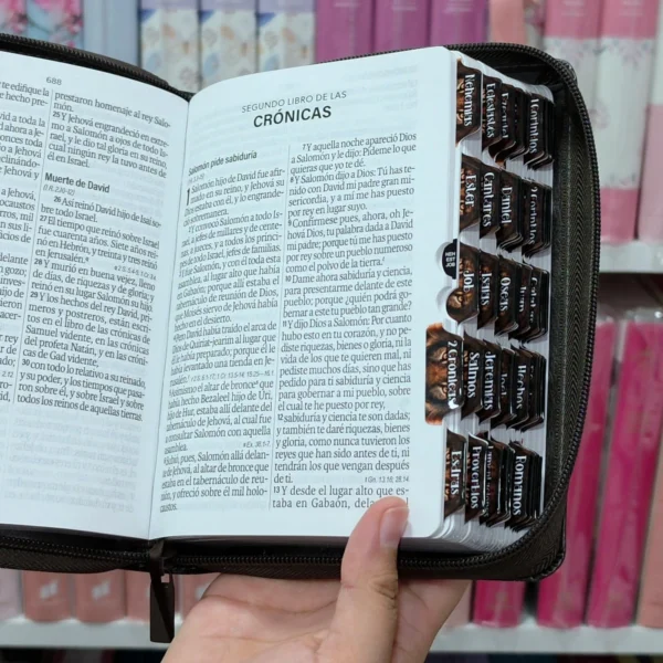 Biblia Personalizada Café con Cara de León - Letra Grande de 12 Puntos - Reina Valera 1960 - Tamaño Compacta con Cierre - Español