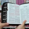 Biblia Personalizada Café con Cara de León - Letra Grande de 12 Puntos - Reina Valera 1960 - Tamaño Compacta con Cierre - Español