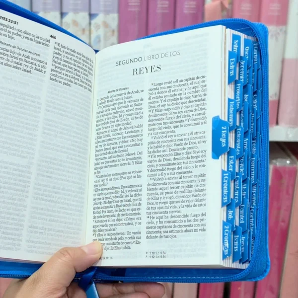 Biblia Personalizada Azul para Niños con Imágenes Ilustradas - Mi Gran Viaje - Letra Estandar de 10 Puntos - Reina Valera 1960 – Tamaño Compacta - Español
