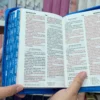 Biblia Personalizada Azul para Niños con Imágenes Ilustradas - Mi Gran Viaje - Letra Estandar de 10 Puntos - Reina Valera 1960 – Tamaño Compacta - Español